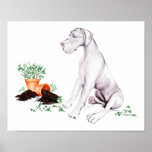 Affiches Great Dane Naughty Pup White UC