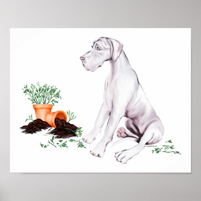 Affiches Great Dane Naughty Pup White UC (Devant)