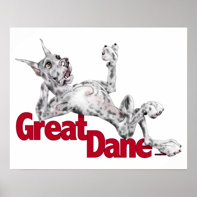 Affiches Great Dane Ramenée Merle (Devant)
