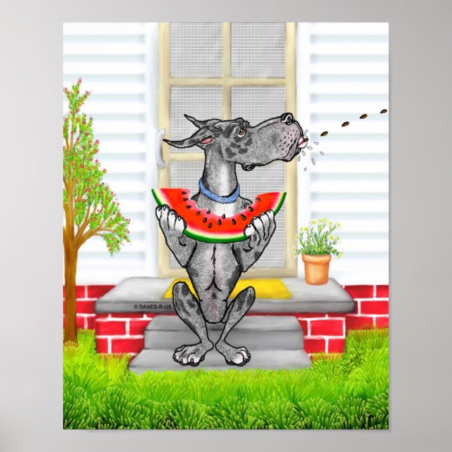 Affiches Great Dane SPIT Merle (Devant)