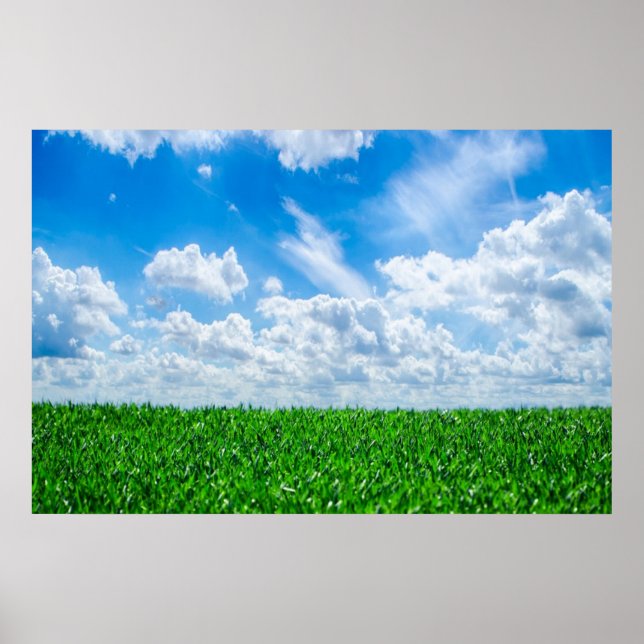 Affiches Green grass and blue sky (Devant)