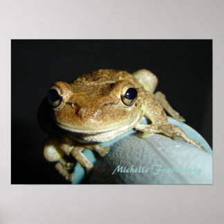 Affiches Grenouille