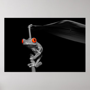 Affiches Grenouille d'arbre observée par rouge