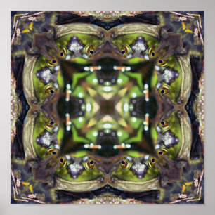 Affiches Grenouille souriante Visage Nature Kaleidoscope Ab