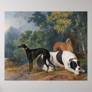 Affiches Greyhounds et Mastiff par Sawrey Gilpin