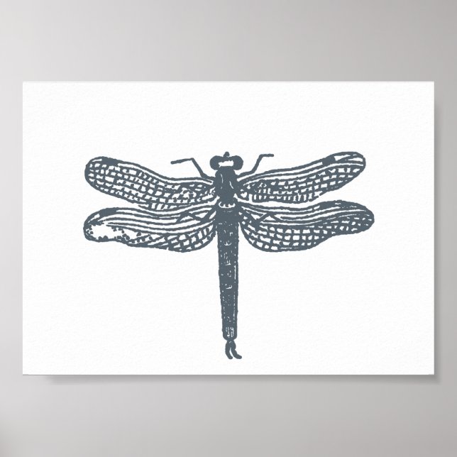 Affiches Gris dragonfly Imprimer (Devant)