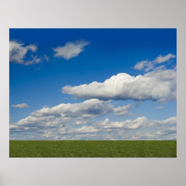 Affiches gris vert, ciel bleu, nuage blanc (Devant)