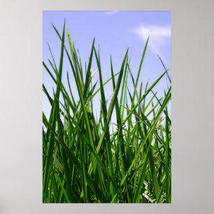 Affiches Gris vert vert de la maison imprimer