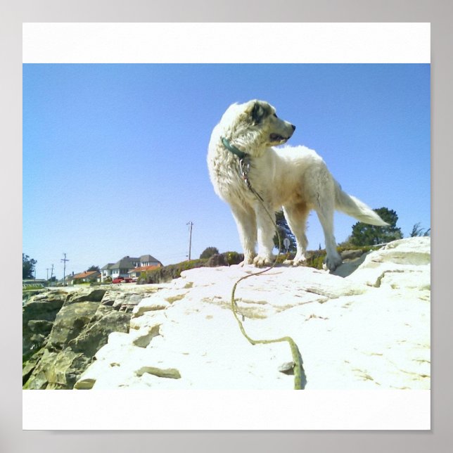 Affiches Gros chien (Devant)