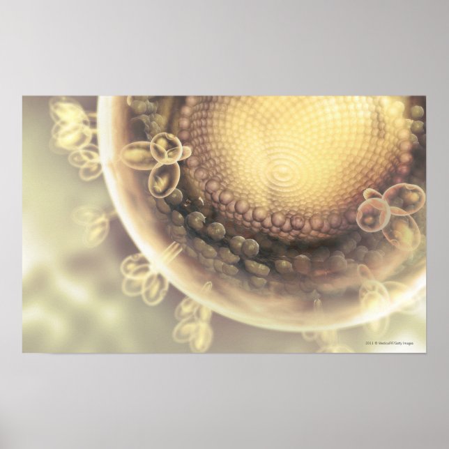 Affiches Gros plan de la structure d'une cellule VIH (Devant)