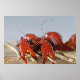 Affiches Gros plan d'un crabe sur bâtons