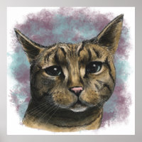 Gros plan Tabby Cat Réaliste