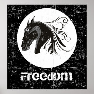 Affiches Grosse tête de cheval blanc noir