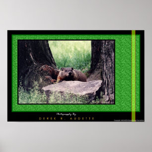 Affiches GroundHog 2