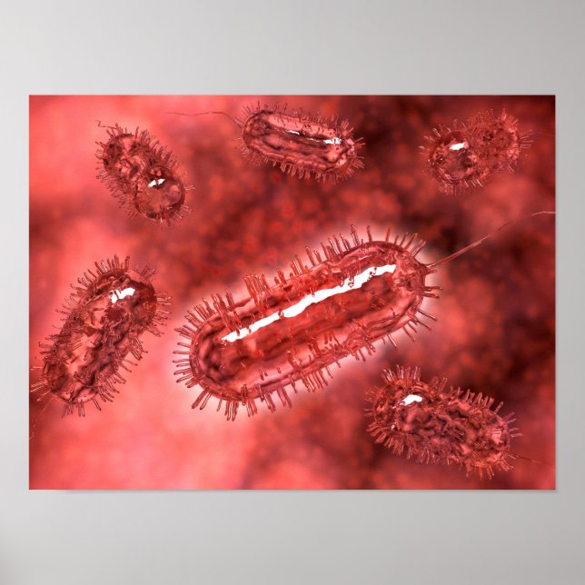 Affiches Groupe De Cellules Bactéries Escherichia Coli 2 (Devant)