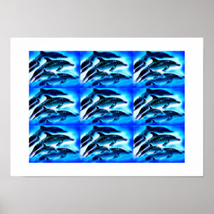 Affiches Groupes de dauphins