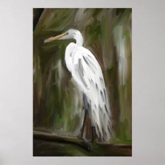 Affiches Grue marécageuse Louisiane