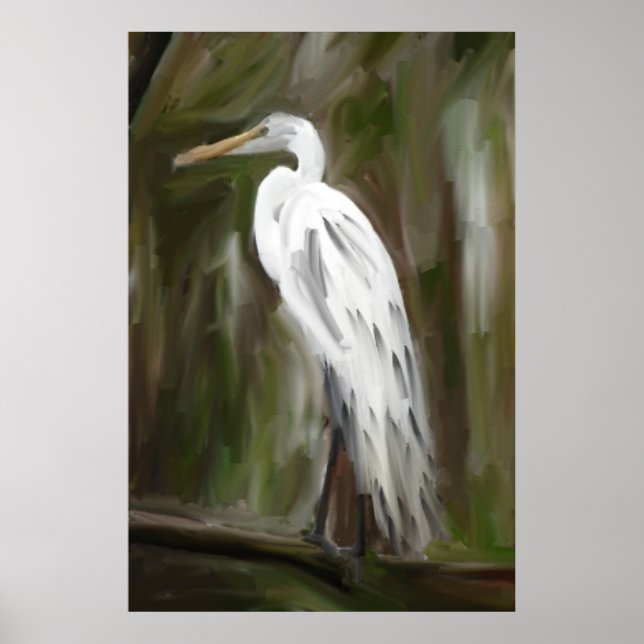 Affiches Grue marécageuse Louisiane (Devant)