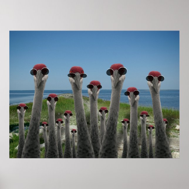 Affiches Grues de plage (Devant)