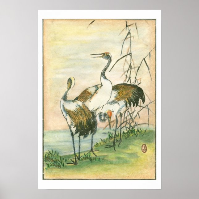Affiches Grues orientales au bord de l'eau (Devant)