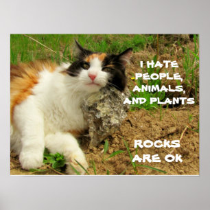 Affiches Grumpy Calico Hates Everything but Rocks