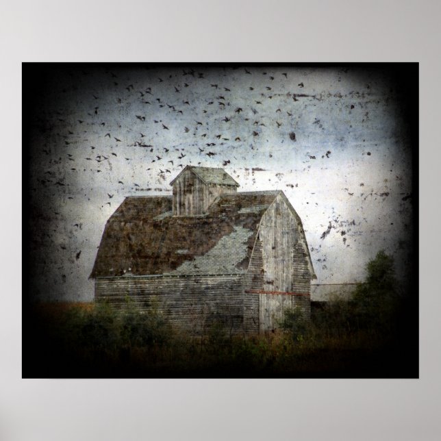 Affiches Grunge de grange et d'oiseaux (Devant)