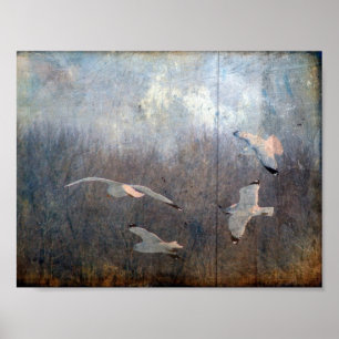 Affiches Grunge de mouettes