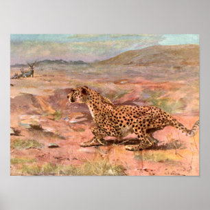 Affiches Guépard et Antilopes par Swan, Animal Sauvage Vint