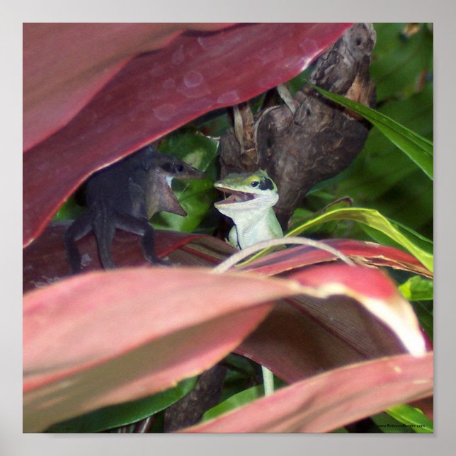 Affiches Guerre des reptiles (Devant)