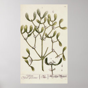 Affiches Gui "d'un de fines herbes curieux", 1782