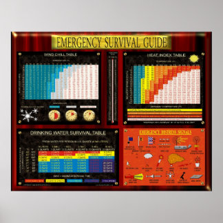 AFFICHES GUIDE DE SURVIE D'URGENCE