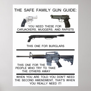 AFFICHES GUIDE SUR LES ARMES À FAMILLE SÉCURITAIRES