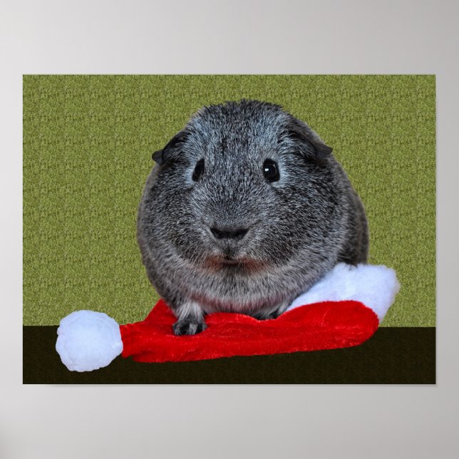 Affiches Guinea Pig Christmas (Devant)