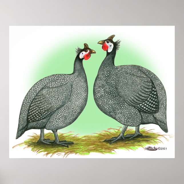 Affiches Guineas : Français (Devant)