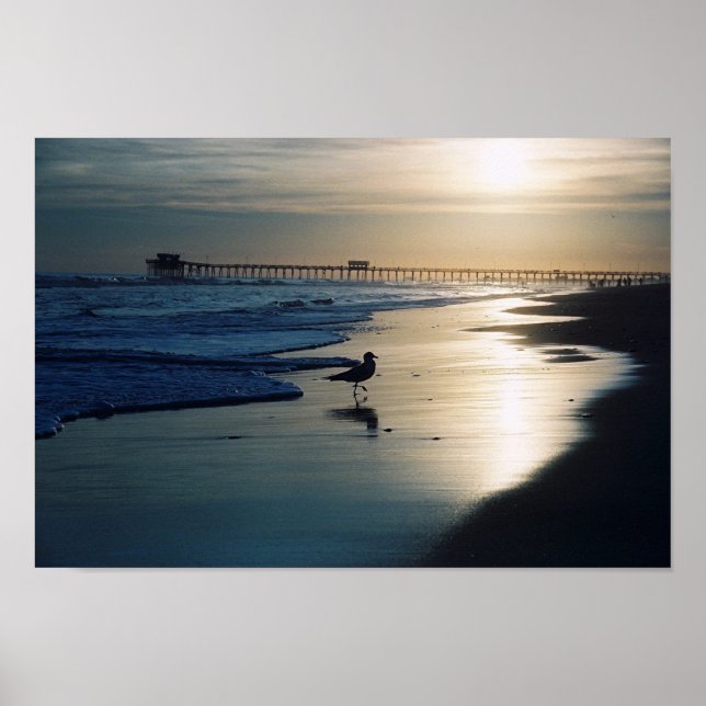 Affiches Gull (Devant)