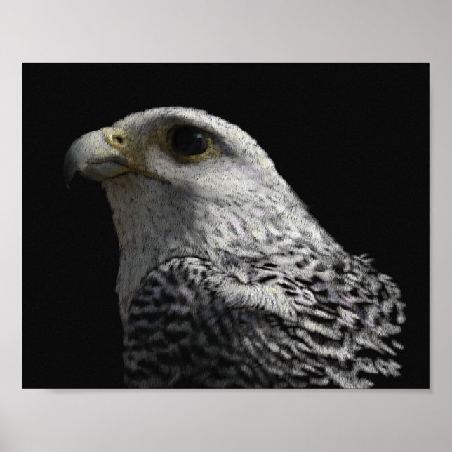 Affiches Gyrfalcon arctique (Devant)