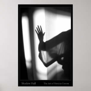 Affiches Hall d'ombre
