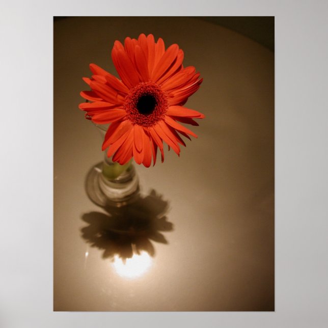 Affiches Halo Daisy (Devant)