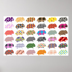 Affiches Hamsterland