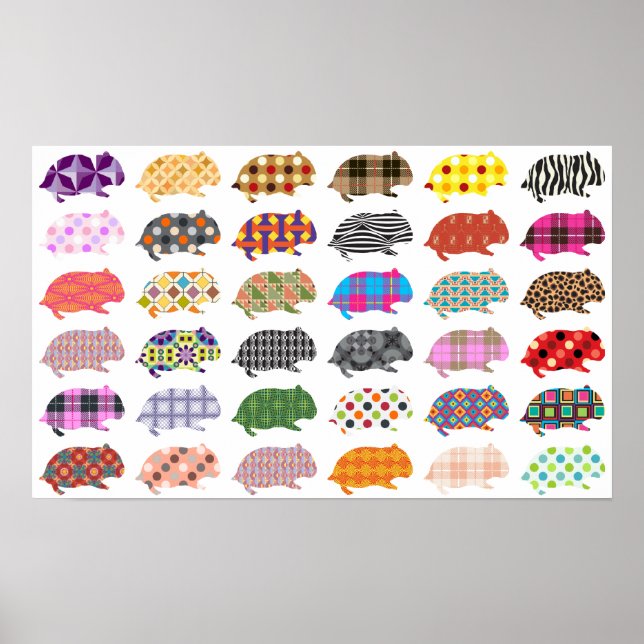 Affiches Hamsterland (Devant)