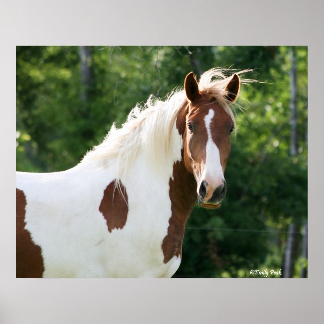 Affiches Handsome Sonny (Devant)