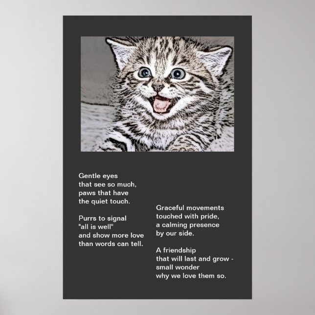 Affiches Happy Kitten Effets de photocopie (Devant)