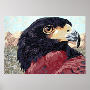 Affiches Harris Hawk-textile