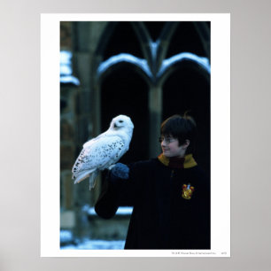 Affiches Harry et Hedwig 2