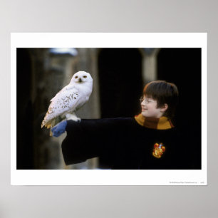 Affiches Harry et Hedwig 3
