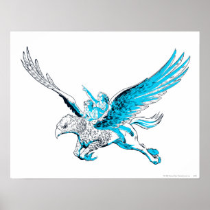 Affiches Harry et Hermione sur un Hippogriff