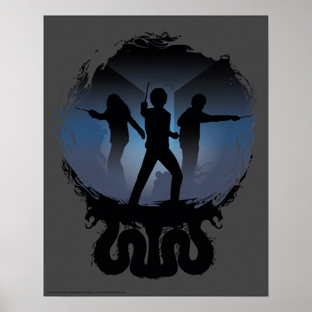 Affiches Harry Potter | Chambre des secrets Silhouette (Devant)