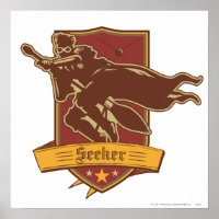 Harry Potter | Crête de l'attrapeur QUIDDITCH™