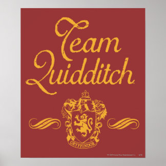 Affiches Harry Potter | Équipe QUIDDITCH™