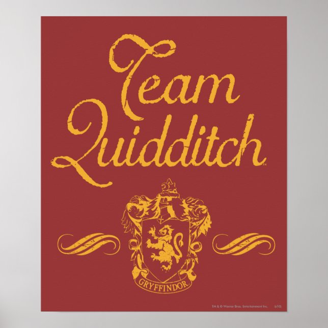 Affiches Harry Potter | Équipe QUIDDITCH™ (Devant)